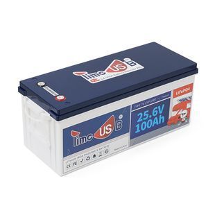 Акумуляторна батарея LiFePO4 Timeusb 25.6V 100Ah, 2560Wh, BMS 100A, 532*207*216мм -YT38290 фото