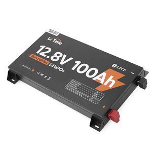 Аккумуляторная батарея Li-TIME LiFePO4 12.8V 100Ач 1280Wh METAL CASE -YT45534 фото