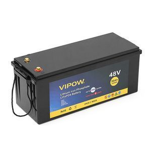 Акумуляторна батарея Vipow LiFePO4 51,2V 50Ah з вбудованою ВМS платою 40A, 48V (520x269x220) -YT17734 фото