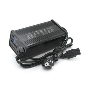 Зарядний пристрій для акумуляторів Li-ion 48V(54.6V),13S,10A, штекер Triangle plug (T-tipe/C13/IEC). 185x88x60mm. 1,5 кг -YT37020 фото