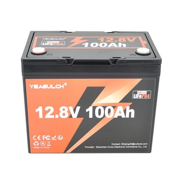Аккумуляторная батарея YEAGULCH Mini LiFePO4 12,8V 100Ah 1280Wh, BMS-100A, ( 246 x 187 x 197) , M8, 12.9kg Q1 -YT45661 фото