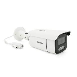 Видеокамеры Green Wave IP