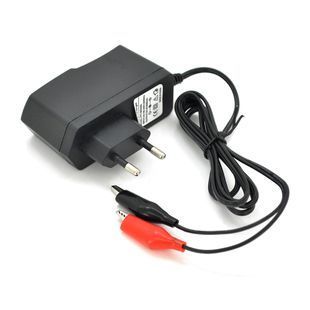 Импульсное ЗУ для аккумуляторов Merlion PPI-602000, 6V,100-240V,1A, клеммы(AGM/GEL/Lead) -YT10555 фото