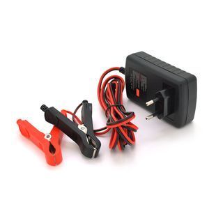 Автоматическое ЗУ для аккумулятора RJTianye 6V/12V,100-240V,2A,клеммы(AGM/GEL,Lead) -YT26522 фото