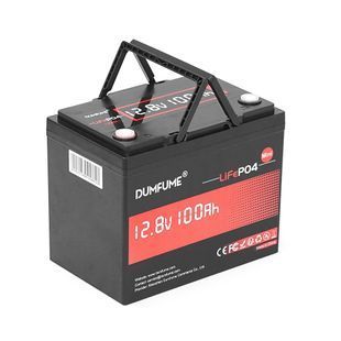 Акумуляторна батарея Dumfume MINI LiFePO4 12,8V 100Ah 1280Wh, in10A/out20A, ( 150 x 95 x 85) , 10kg Q1 -YT46110 фото