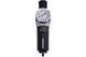 Фільтр-регулятор з індикатором тиску для пневмосистем 1/4" ROCKFORCE RF-EW2000-02 47106 фото 1
