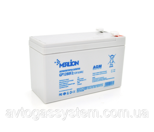 Акумулятор дитячого електромобіля Merlion 12 V 8 Ah 6-fm-8 22464 фото