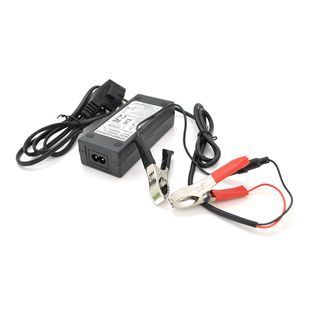 Зарядные устройства Merlion для LiFePO4 12V (14\6V)